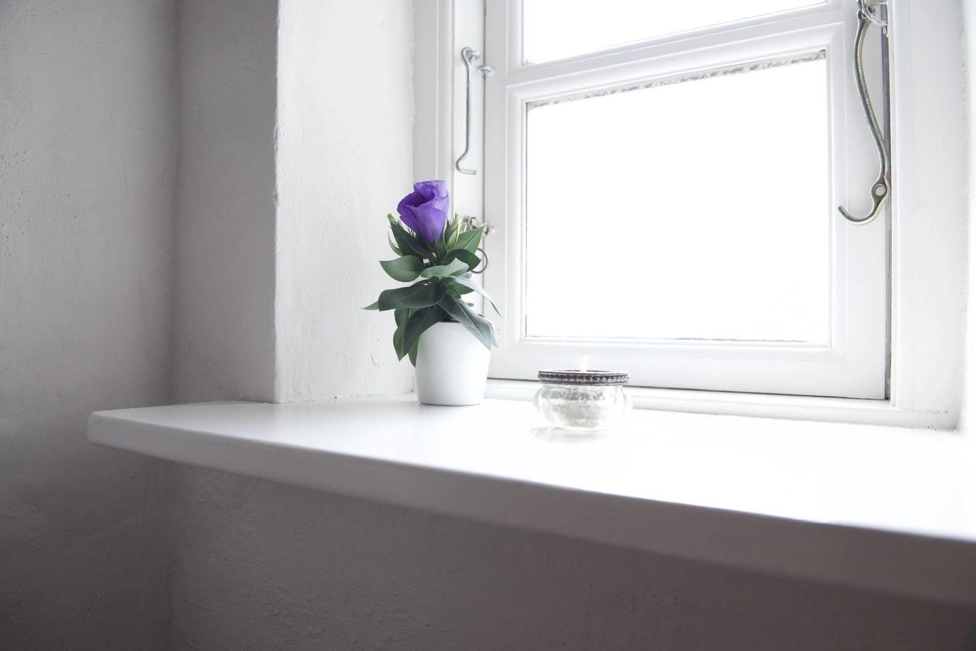 Lotus Bb & Spa - Indre Ro Yoga