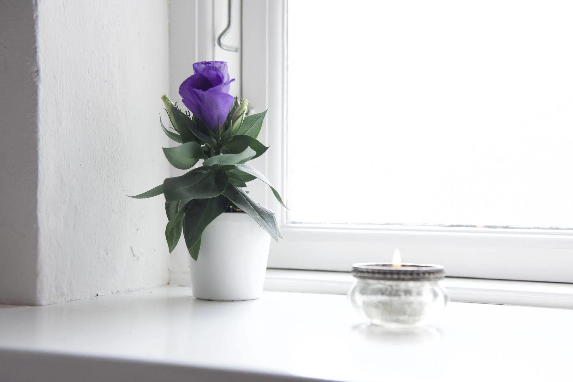Lotus Bb & Spa - Indre Ro Yoga Hotel